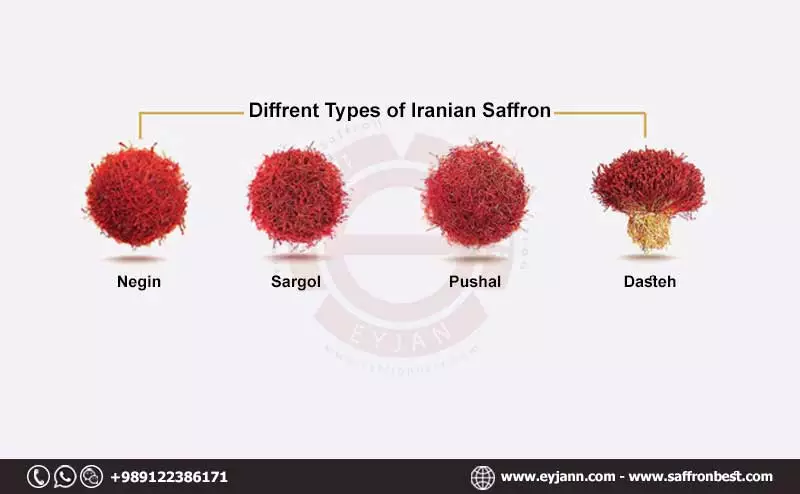 Diferentes tipos de azafrán iraní