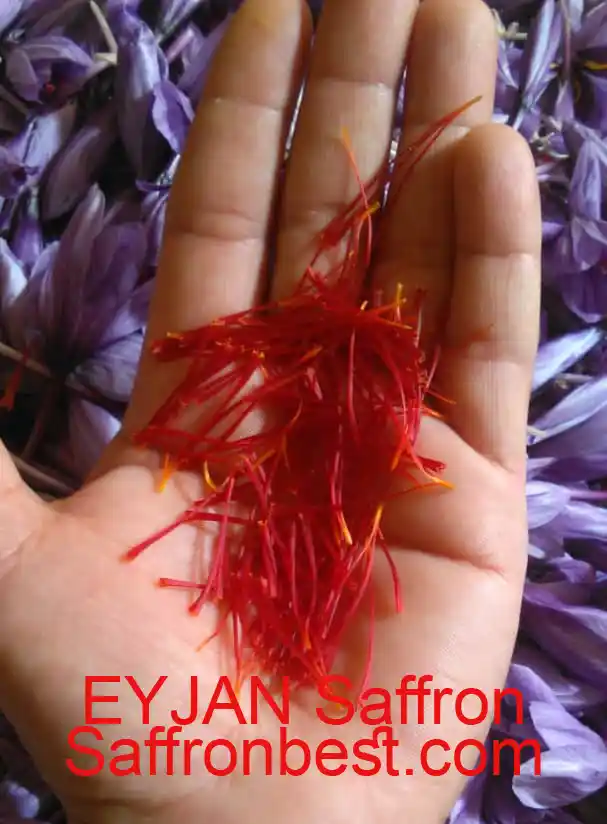 Best saffron  is iranian saffron