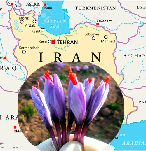 azafrán iraní