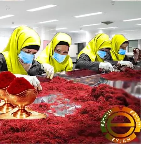 Iranian saffron factory