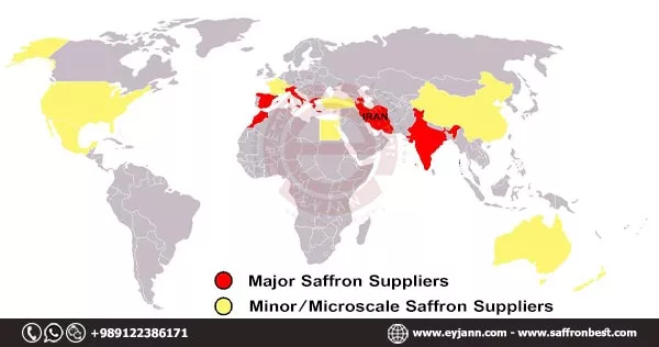 major saffron supplier