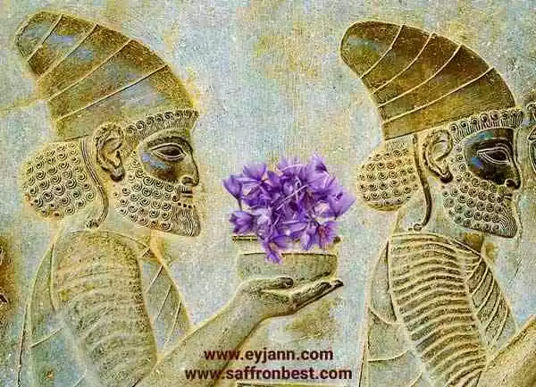 Iranian saffron history 