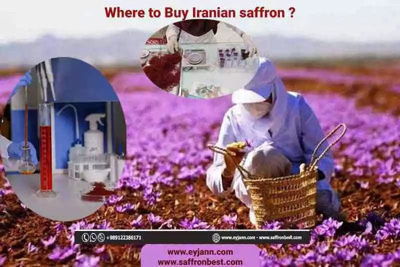 donde comprar azafran de iran